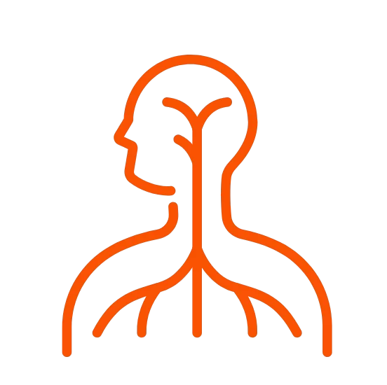 2-e1711557758379.webp 2-e1711557758379.webp