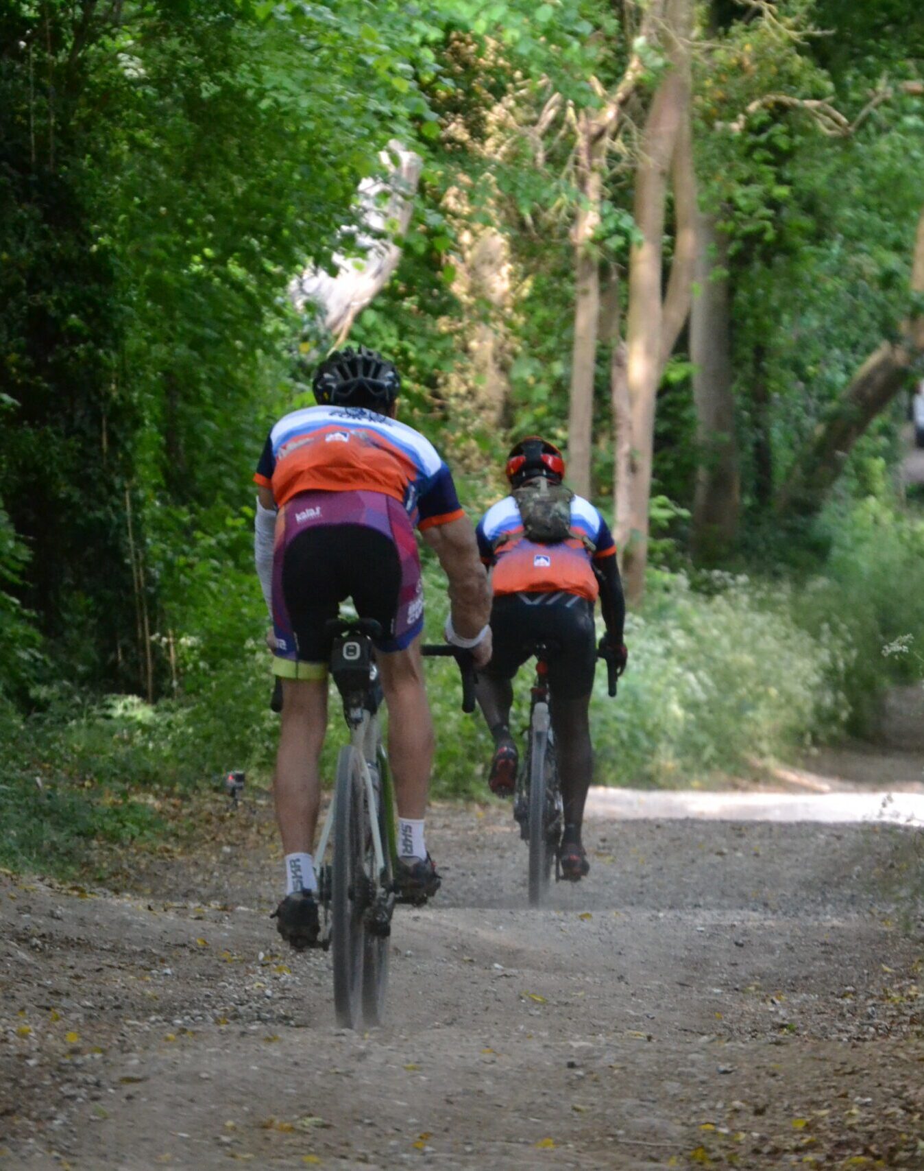 Royal Chilterns Way riders under tree path