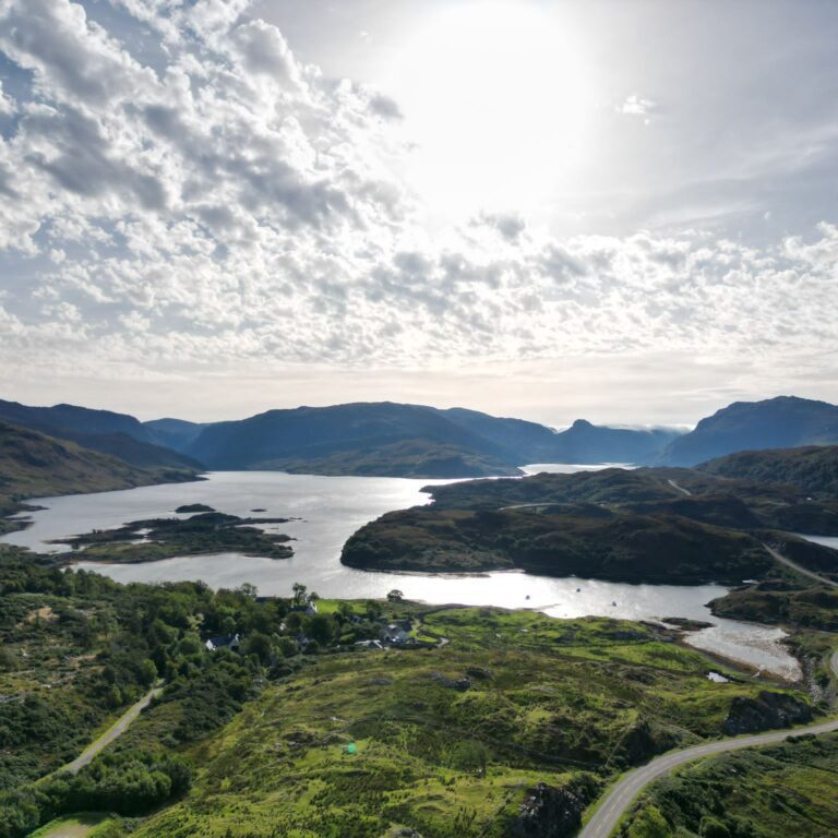 8b1e02a5-c93c-4e3e-8f97-882cce244134 (1)