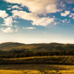 February Updates: What’s Been Happening Behind the Scenes