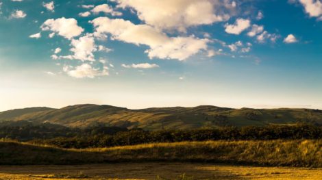 10986872_10153140733403658_8860035093489920440_o (1)