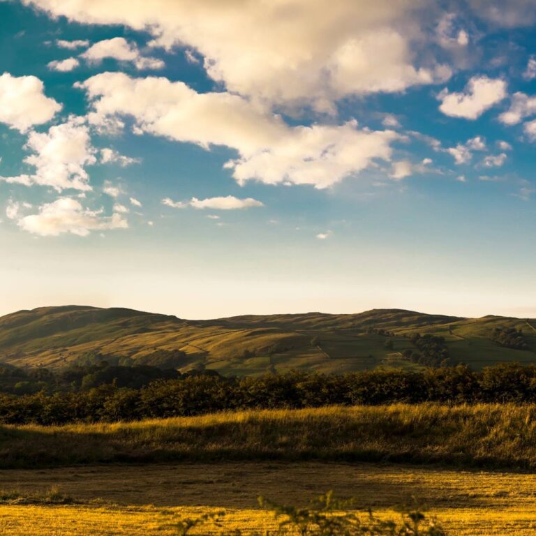 10986872_10153140733403658_8860035093489920440_o (1)